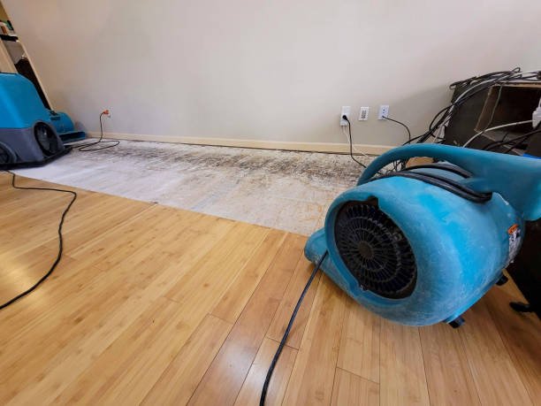 Professional Basement Flood Cleanup technician working in Morgan, PA